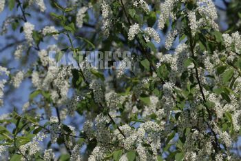 EA254450, Eastpress , Porvoo, Finland